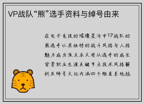 VP战队“熊”选手资料与绰号由来