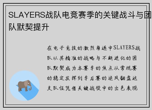 SLAYERS战队电竞赛季的关键战斗与团队默契提升